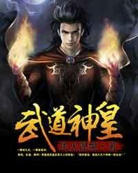 武道神帝无弹窗