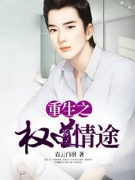 重生之权色巅峰大道之前