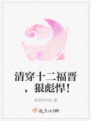 清穿十四福晋的有哪些